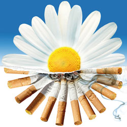 Защитим здоровье от табачного дыма!