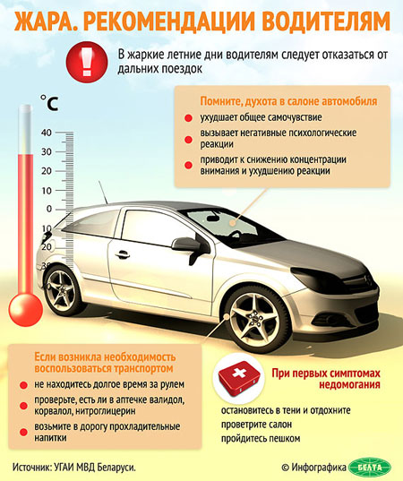 Инфографика БЕЛТА